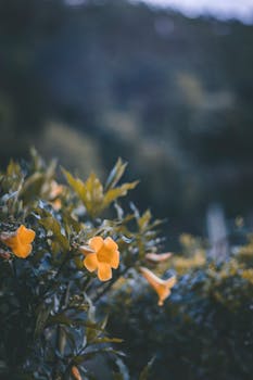 证监会重拳出击,操纵市场行为遭严厉惩处;彭少东、王政分别被罚没数千万元。 股票财经 证监会重拳出击,操纵市场行为遭严厉惩处;彭少东、王政分别被罚没数千万元。 股票财经 证监会重拳出击,操纵市场行为遭严厉惩处;彭少东、王政分别被罚没数千万元。 股票财经