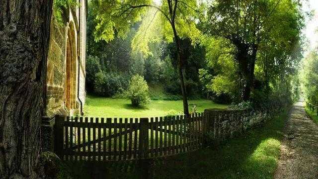  【星座动力学】火象与风向的深层驱动：三大格局重构者的精神原力解析 情感心理