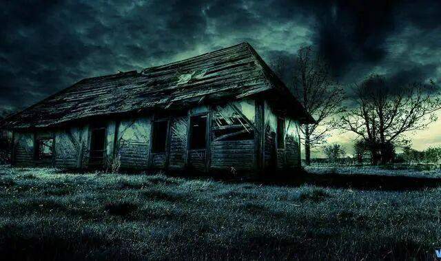  【星座动力学】火象与风向的深层驱动：三大格局重构者的精神原力解析 情感心理