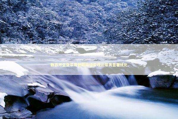 数百万企业采用创新路径实现云服务显著优化