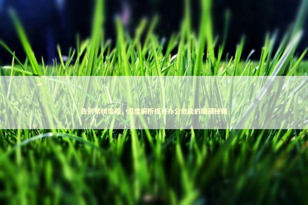 告别繁琐流程，深度解析提升办公效能的隐藏秘籍 IT技术